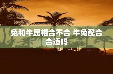 牛兔相配|兔和牛属相合不合 属牛和属兔的合不合